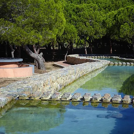 Apartamento La Mata Torrevieja